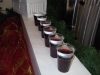 mulled-wine-drinks